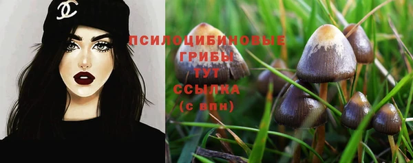 СК Михайлов