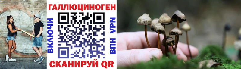 Псилоцибиновые грибы Magic Shrooms Петров Вал
